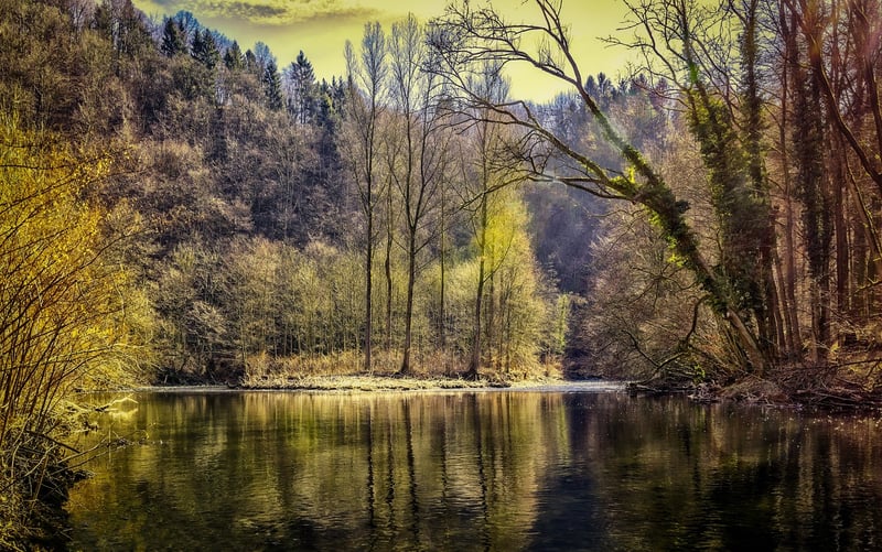 Black Forest, Germany